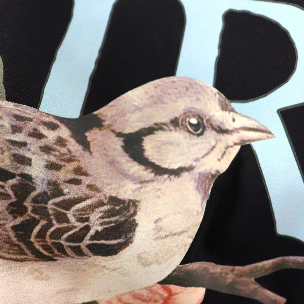 AMIRI Bird Graphic Short-Sleeve T-Shirt — detail